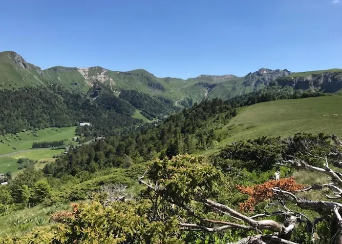 T2 Bis Avec Terrasse Ouest Et Wi-fi - Fr-1-608-70